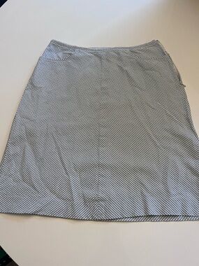 Ann Taylor Seersucker skirt